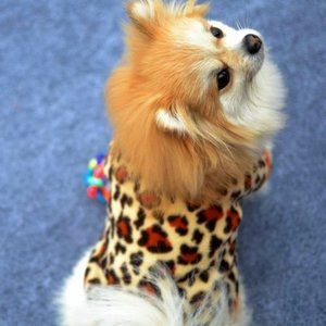 Leopard Sweater for Pets